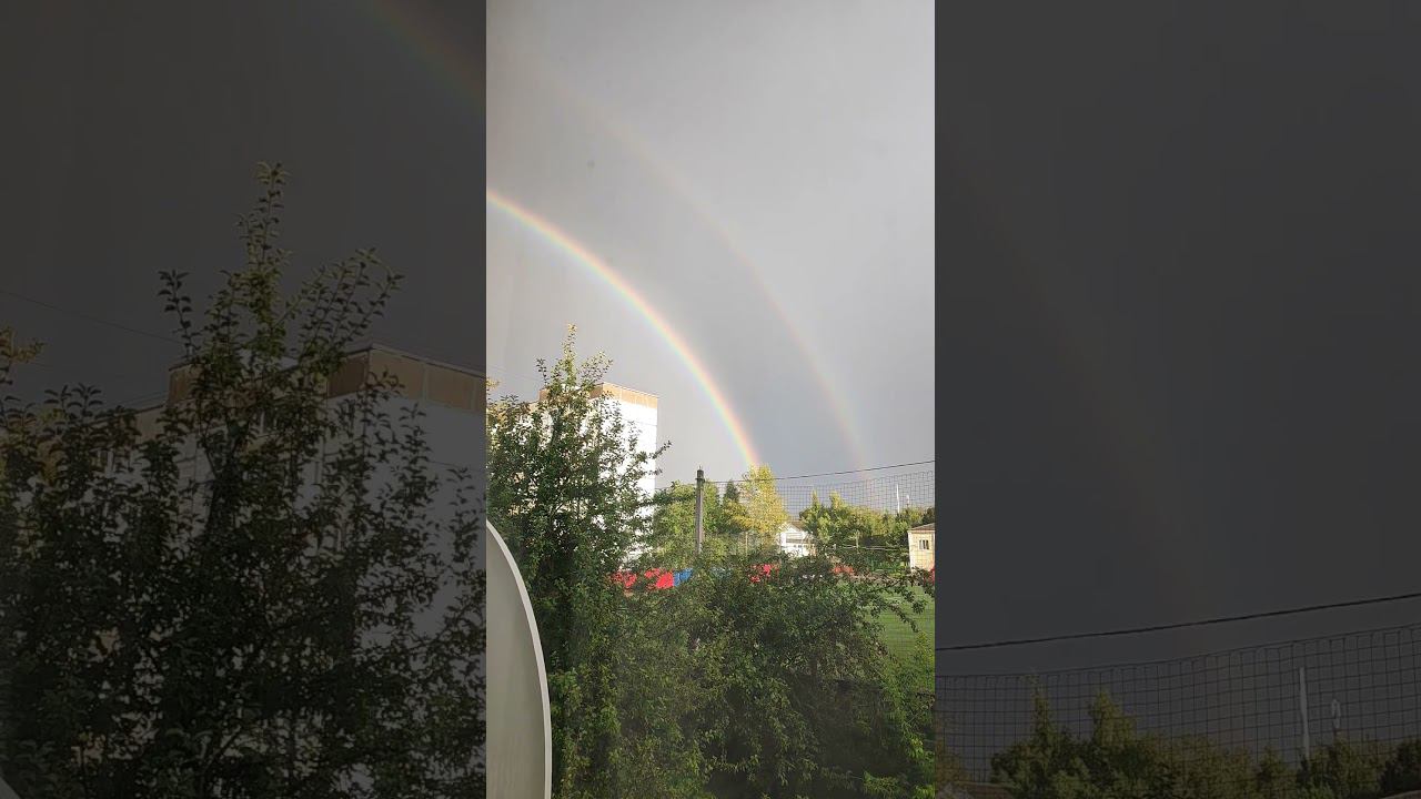 11 августа 2024 г. смотреть онлайн