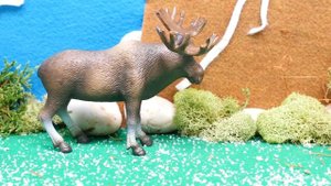 Learn Wild Animals with LEGO Duplo Toys.ToysTV