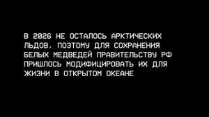 Медведь 2026 в 4K