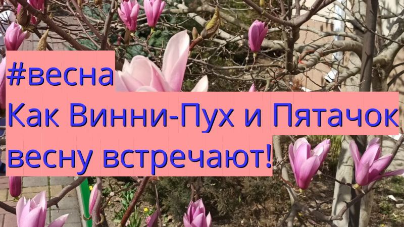 #веснаКак Винни-Пух и Пятачок весну встречают