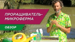 Как прорастить микрозелень дома? Обзор микрофермы EasyGreen EGL 55