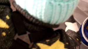 НОЧЬ В ПАЛАТКЕ! Зимняя рыбалка с подводной камерой Calypso #85