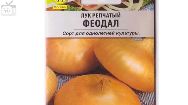 Лук севок чернушка ➡рассада из семян ✅ Выбираем лучшие семена лука с hitsadtv