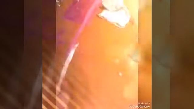 Поделки для кота смотреть онлайн