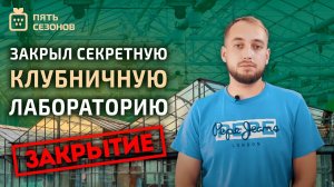 ЗАКРЫЛ СЕКРЕТНУЮ КЛУБНИЧНУЮ ЛАБОРАТОРИЮ