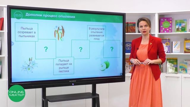 4 класс. Естествознание. 5 урок. Как образуются семена? смотреть онлайн