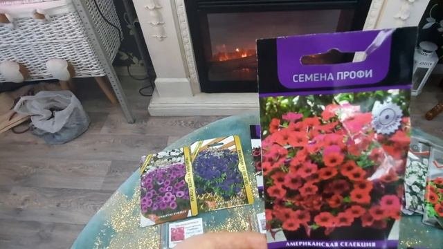 Ампельная Петуния. /Обзор сортов Ампельной петунии/Петуния