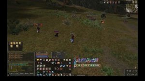 Некст таргет и его настройка по персонажам. л2, L2, Scryde.