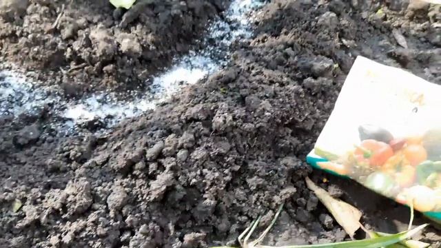 ОСЕННЯЯ ПОДКОРМКА И УХОД ЗА ЛИЛЕЙНИКАМИ ПЕРЕД ЗИМОВКОЙ. смотреть онлайн