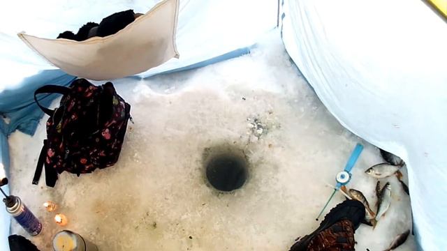 зимняя рыбалка на карьере 26 12 2021 смотреть онлайн