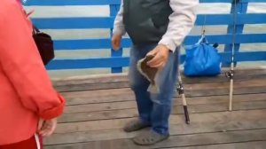 Рыбалка в Зеленоградске