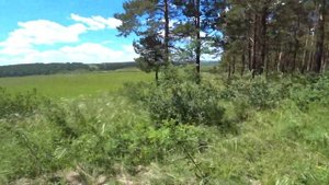 Летний поход по горе у села Чупино
