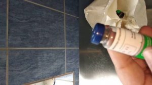 Тест-система для диагностики бруцеллеза животных в кольцевой реакции (КР) с молоком.