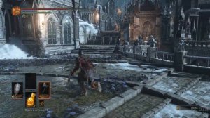 Dark Souls 3 Профессиональное Прохождение Ч.18 - Иритилл Холодной Долины/Центральный Иритилл