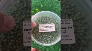 Лучшие удобрение для гортензий 2022г, секреты лучшего цветения гортензий Compo Expert Германия.