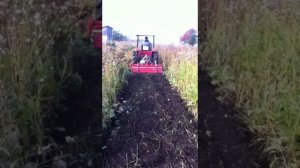 Вспашка земельных участков трактором с фрезой в Томске
