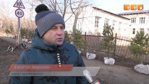 Посади дерево