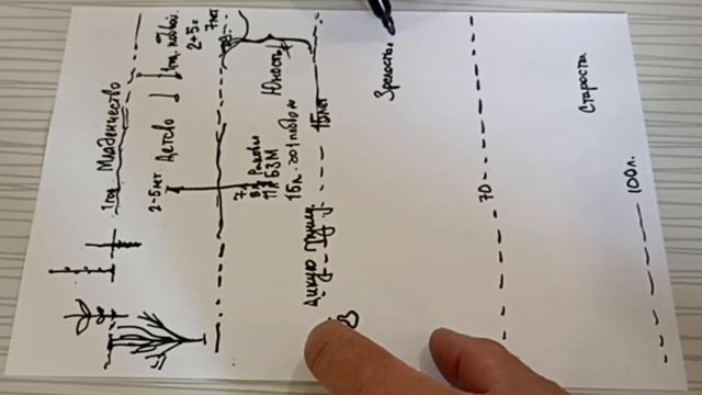 Груша не цветет не плодоносит?