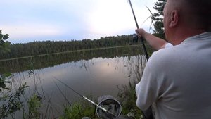 За Карасём на Лесное озеро// Рыбалка на Поплавок // Поездка на новый водоём.