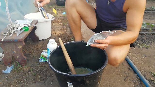 ПЕРОНОСПОРОЗ!!!Как лечить ??? Чем лечить???Выход есть.