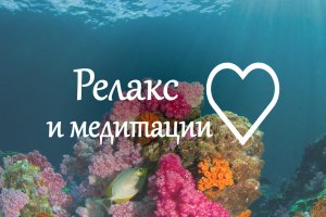 Релакс звуки дельфина. Исцеление