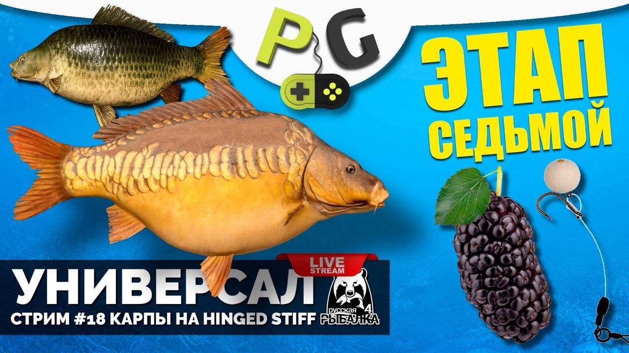 Русская Рыбалка 4 - Стрим Прокачка УНИВЕРСАЛА для 7-го этапа Стрим #18 Карпы на Hinged Stiff смотреть онлайн