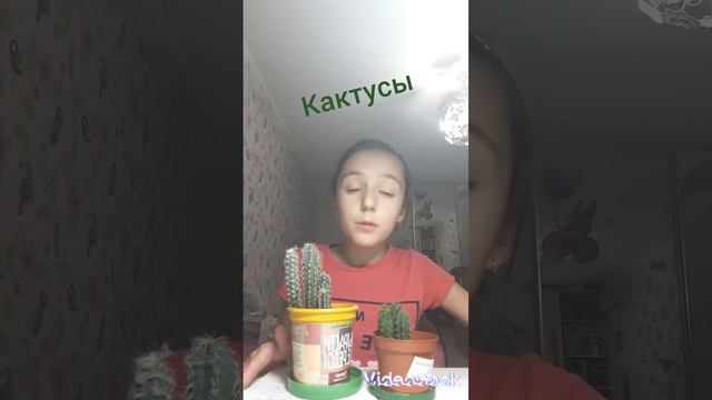 Кактусы. Часть 4. О цветении кактусов.