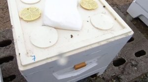 Работа в Польше пчеловодом, пчеловодство Польши организация  промышленной пасеки улей великопольски
