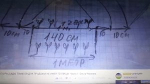 ВЫРАЩИВАНИЕ РАССАДЫ НА ПРОДАЖУ (БЕЗ ТЕПЛИЦЫ). Ольга Чернова.