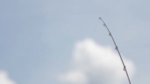 Экоферма "Старый Сиг" с Алексеем Чернушенко