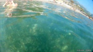 Турция Кемер 2020 ч3 Подводный мир Средиземного моря