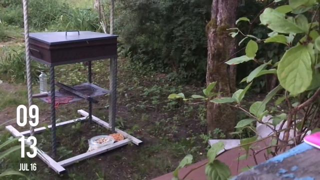 ✨ VLOG: едем на дачу | две недели | к нам в гости пришёл ёжик 🦔 |✨ смотреть онлайн