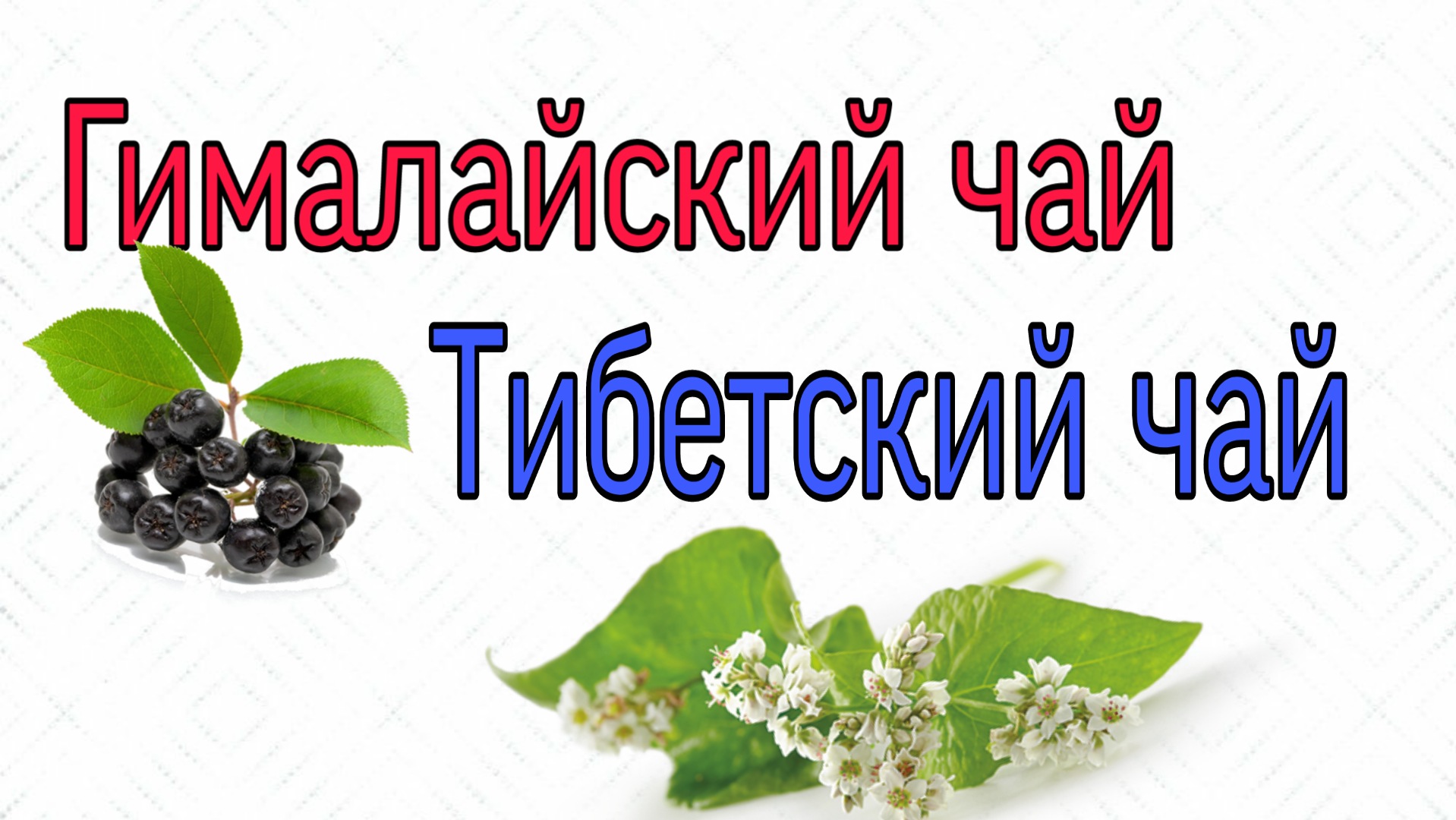 Гималайский и тибетский чай.Гринвей.mp4