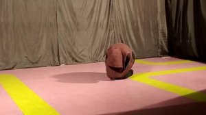 Этюд наблюдение за животными. Гусеница