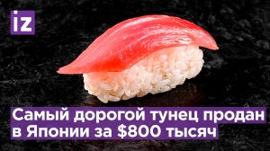 Самый дорогой тунец продан в Токио за 800 тыс. долларов / Известия