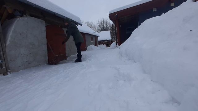 Убираем горы СНЕГА!!!🤪❄❄❄/Во навалило... #влогдомохозяйки #зимнеенастроение