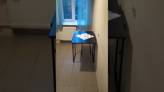 В Питере жить,сдам квартиру в СПб ,1-ая кв-ра,метро Ладожская