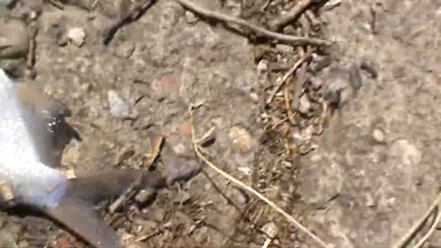 крутая рыбалка на р. Кизань смотреть онлайн