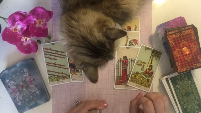 Что приходит в вашу жизнь и что уходит в ближайшее время. смотреть онлайн