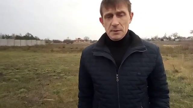 Можно ли вырастить хурму в песке ? смотреть онлайн