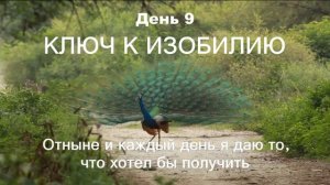 9 ДЕНЬ МАРАФОН ИЗОБИЛИЯ || 21 день изобилия || Дипак Чопра День 9