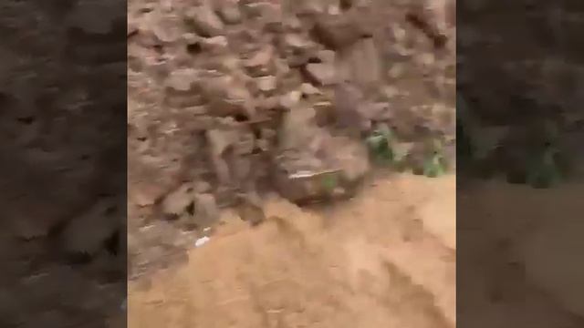 МО, Дмитровский район, Габовское с п , СНТ "5 соток". Дренаж участка и дома смотреть онлайн