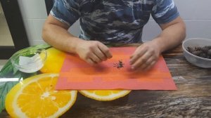 Как легко прорастить сеянцы сосны из шишки.