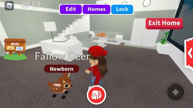 ОТКРЫВАЮ 30 ЛЕСНЫХ ЯИЦ В АДОПТ МИ! ВЫПАЛО 3 ЛЕГИ!!!  Roblox  Adopt Me  So Mika adoptme