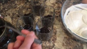 ТВОРОЖНЫЙ ПУДИНГ???????