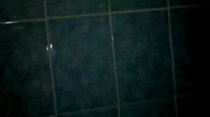 Голуби КАЗАХСТАНА. немного о зимородках.и старых линиях голубей.