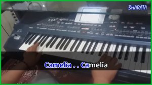 CAMELIA Rhoma irama KARAOKE DANGDUT Cover Pa800