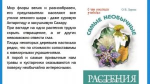 Быть может, вся природа – мозаика цветов (обзор литературы)