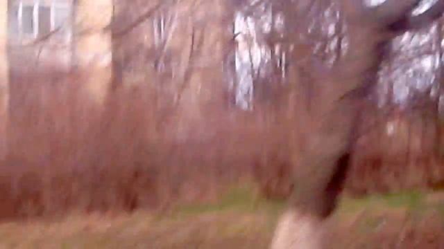 31.03.18г.приднестровье..красное.коротное.moldovan.krasnoe.short.