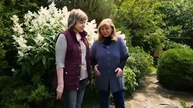 Время в саду Ландшафтные хитрости смотреть онлайн